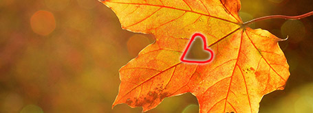 Coccole d'autunno