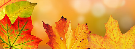 Promo autunnale